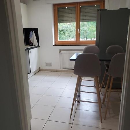 Appartement Meuble Aux Portes De Geneve 安纳马斯 外观 照片