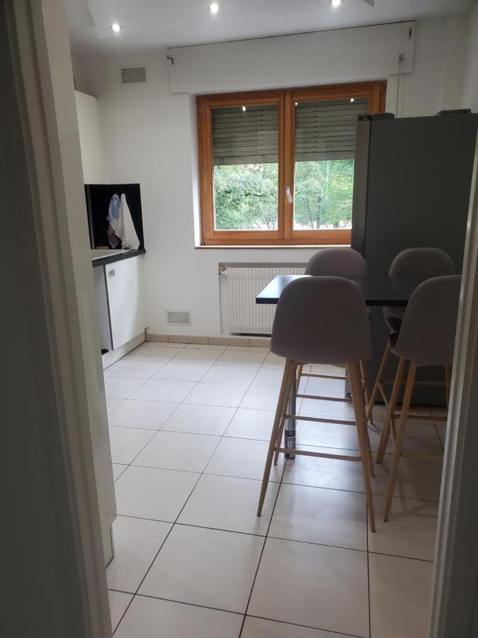 Appartement Meuble Aux Portes De Geneve 安纳马斯 外观 照片