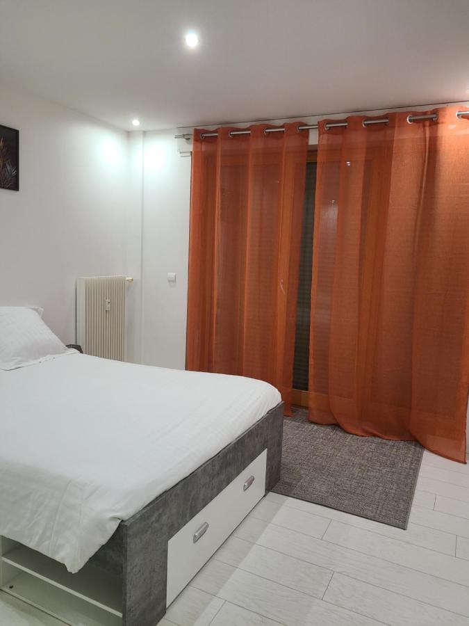 Appartement Meuble Aux Portes De Geneve 安纳马斯 外观 照片